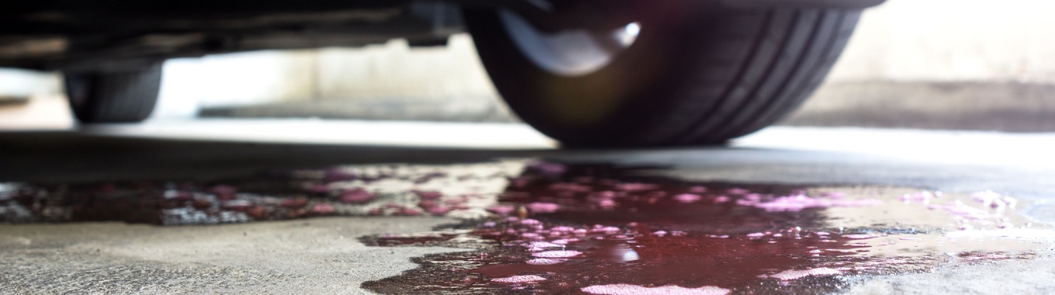 Coolant Leak Repair at TMS Auto Service in Kansas City, MO